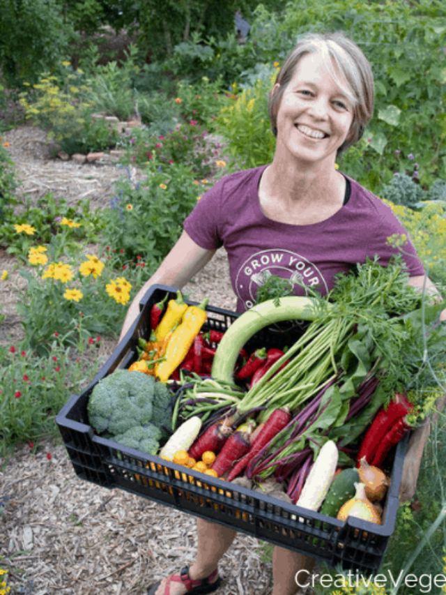 Organic Gardening Tips: Cultivating Nature’s Bounty
